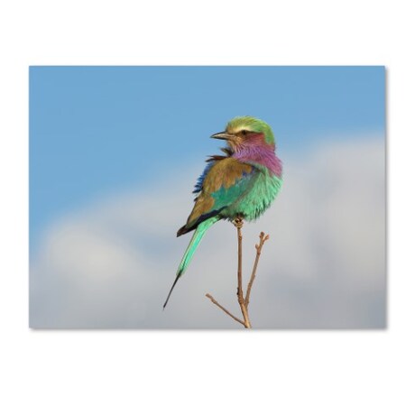 Trademark Fine Art Kahi 'Vantage Point' Canvas Art, 35x47 1X03279-C3547GG